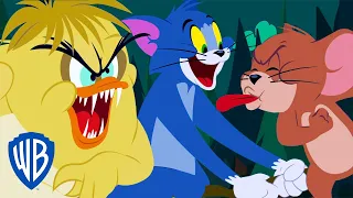 Tom and Jerry | The Duckling and Mr Hyde | WB Kids