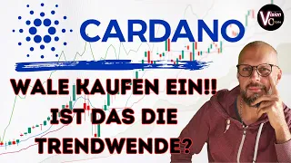 Wale kaufen Cardano ADA! Kommt jetzt die Trendwende? Infos für Investoren, Anleger und Anfänger