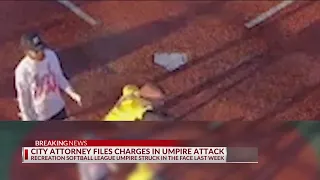 Assault charges filed against man accused in umpire attack at Columbus softball game