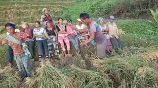 Traditional song Rongmei by Mummy group