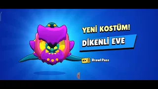 DİKENLİ EVE Aldım.....