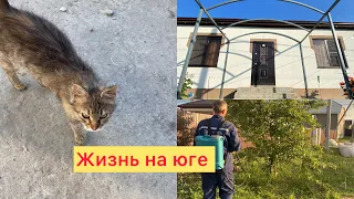 3️⃣8️⃣4️⃣Навес над входом в дом🏡Стройка продолжается 👍Клубника 🔥 Обработка сада в мае🐛