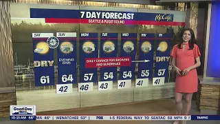 Enjoy the sunshine and highs in the 60s today and tomorrow! Rain returns by tomorrow night | FOX 13