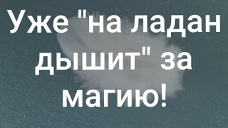 ‼Вражины-то, на ладан уже дышат🤷‍♀️ Домагичились...🤦‍♀️😂