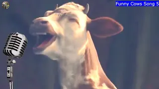 FUNNY COW DANCE 5 |  COW FUNNY VIDEOS WITH FUNNY COW MOOING SOUNDS |  FUNNY COWS SONG