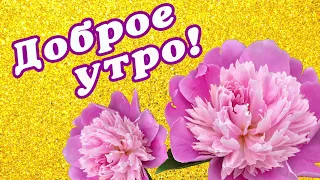 САМЫЕ РОСКОШНЫЕ ПИОНЫ ВАМ С УТРА 🌺 ДОБРОЕ УТРО 🌺 С ДОБРЫМ УТРОМ 🌺 ДОБРОЕ УТРО 🌺 ШИКАРНАЯ ОТКРЫТКА