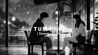 Tum Hi Ho (Slowed + Reverb) |Aditya Roy Kapur, Shraddha Kapoor | Arjit Singh | Lofi Beat