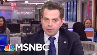 Anthony Scaramucci Responds To President Donald Trump's State Of The Union Address | MSNBC