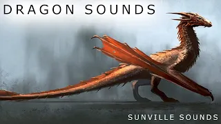 1 Hour of Dragon Sounds | Animal Sounds with Peter Baeten