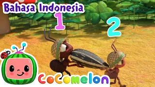 Semut Pergi Berbaris | CoComelon Bahasa Indonesia - Lagu Anak Anak
