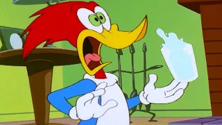 Woody Woodpecker Show | That Healing Feeling | Full Episode | Cartoons For Children