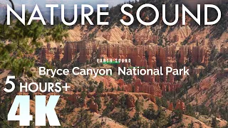 EARTH SOUND Bryce Canyon Nature Sounds Sunset Point - Canyon Wind & Birds Singing 5 Hours Relaxation