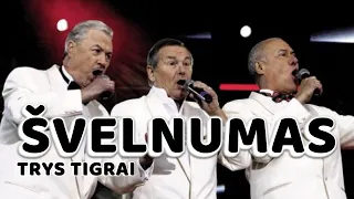 Trys Tigrai - Švelnumas (Lyric Video). Geriausia Lietuviška Daina