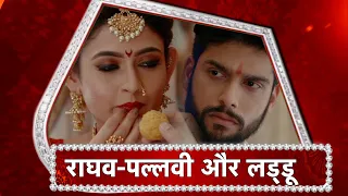 Mehndi Hai Rachne Wali: Raghav Is ANGRY With Pallavi!