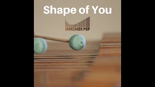 Shape of You (Marimba Pop Cover) - by Ed Sheeran