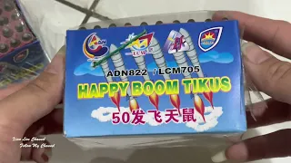 【Fireworks】50 shoots Mouse (Tikus) | 50发飞天鼠