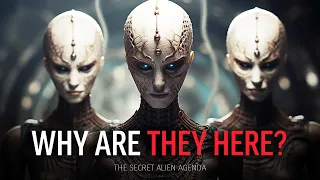 WHY ARE THEY HERE? The Secret Alien Agenda - What You NEED to Know!  Documentary 2023 by Paul Wallis