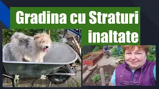 Cum construiesti Straturi inaltate in Gradina de legume