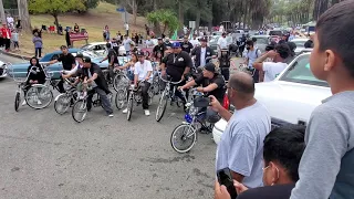 Low Rider Bikes!