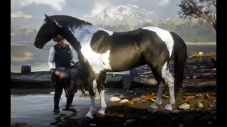 How to get the piebald tobiano Hungarian halfbred early in the game