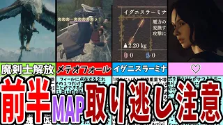 【ドラゴンズドグマ２】前半MAPの取り逃し確認用！最初から知りたかった要素２０選！【dorafgonsdogma2/ドグマニュアル】