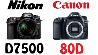 Nikon D7500 vs Canon EOS 80D