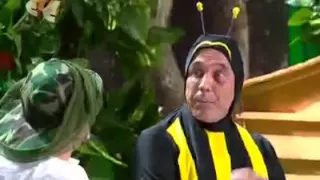 дмитрий соколов   пасечник и пчела