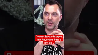 Арестович: Путин сбежал быстрее Януковича. Зоя ржали над ним.