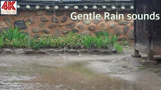 💧[4K] ASMR sound of rain falling in the yard of a hanok . rain