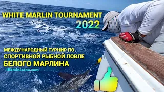 White Marlin Tournament 2022: турнир по ловле белого марлина в Доминикане (ч.2) - iDominicana.com