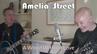 A World Without Love - Peter & Gordon - Acoustic Cover