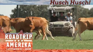 Husch Husch! 🐮 Drei Spitzenköche beim Kühe Treiben! | Roadtrip Amerika | Kabel Eins