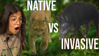 Apex Predators vs Invasive Species