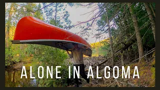 Solo Canoe Camping Adventure | Exploring the Algoma Backcountry