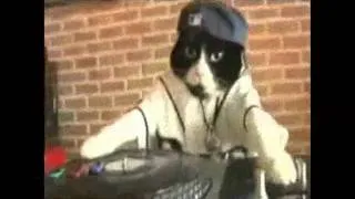 [dp] Flex! - Mobb Deep Cat'z [Gangsta Shit Party].wmv