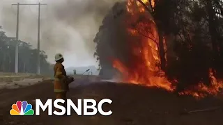 Expert Says Australia Fires Direct ‘Impact Of Human Caused Climate Change’ | The Last Word | MSNBC