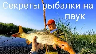 Секреты рыбалки от Димона Рыбалка 2019 Рыбалка на сазана Рыбалка на паук