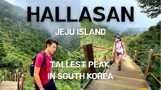 Hallasan on Jeju Island (한라산) | Hiking In South Korea