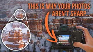 Why Your Photos Aren't Sharp + How to Fix Blurry Photos