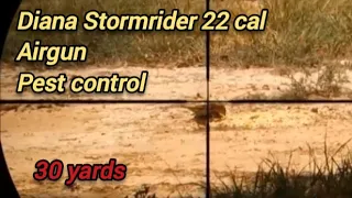 Diana Stormrider 22 Cal. Airguns Pest Control