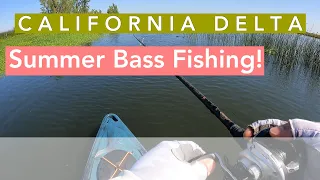 California Delta Bass Fishing ||Hot Summer Days||