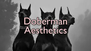 Доберманы в Tik tok / Эстетика / Doberman aesthetics