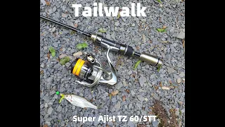 Обзор Tailwalk Super Ajist TZ 60/STT