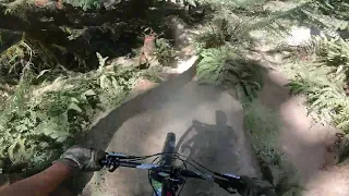 🔶🔶 Scary close call on "(Updated) 12 Step" - Duthie Hill MTB