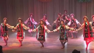 Український народний танець "Козачок" - зразковий ансамбль танцю "Барвінок"