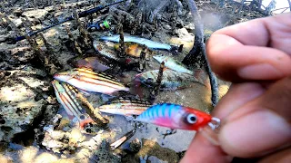 Sunggab sabay sirit! Akala nila sugatang isda ang pain ko | Ultralight fishing Philippines