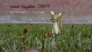 Cavetown-Juliet 1 hour version