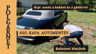 ELSÜLLYEDT A ROLLS-ROYCE! Autómentés ásóval és hekk a Balatonból? / Polgarnet