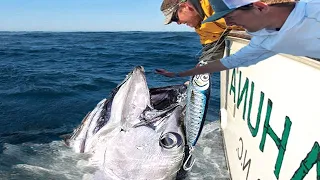 Amazing Longline GIANT BlueFin TUNA. Big Catch Fishing on The Sea