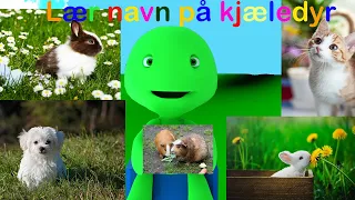 Pets | For kids | Kids TV | Norwegian